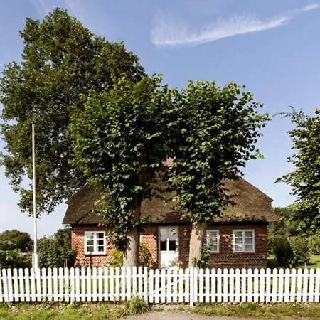 Semesterbostad Romantisches Reetdachhaus - Frau Schroeders *