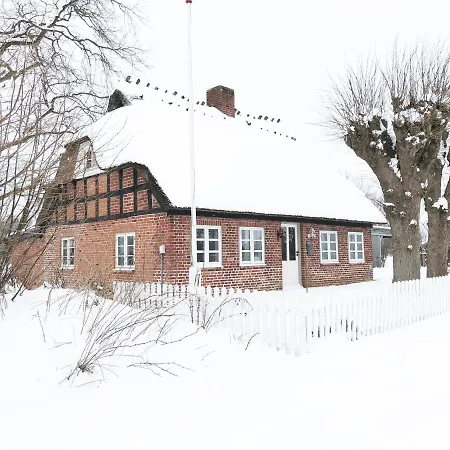 Romantisches Reetdachhaus - Frau Schroeders Mohrkirch