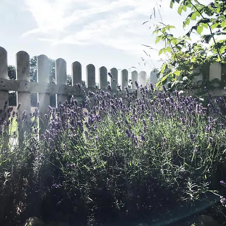 Romantisches Reetdachhaus - Frau Schroeders Semesterbostad