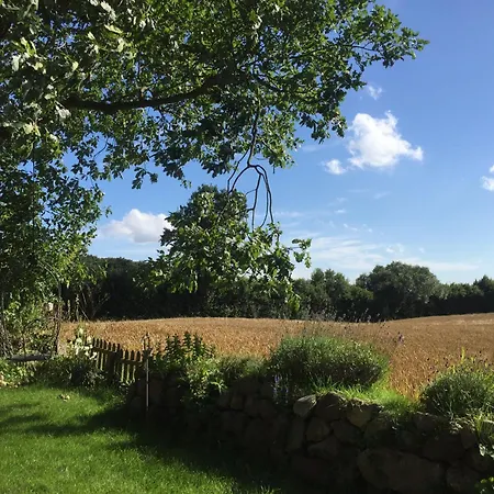 Romantisches Reetdachhaus - Frau Schroeders Mohrkirch