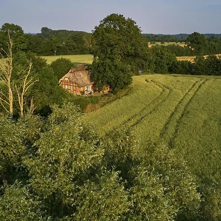Romantisches Reetdachhaus - Frau Schroeders Semesterbostad *