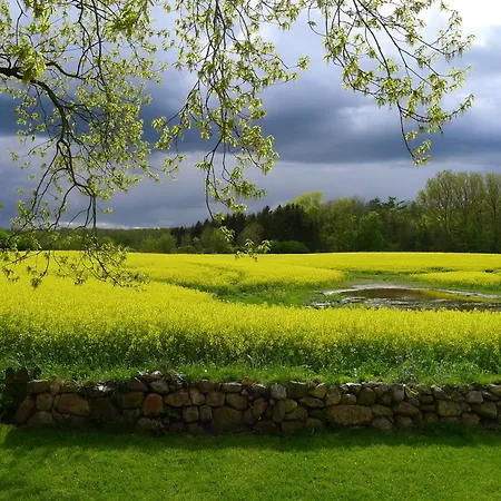 Romantisches Reetdachhaus - Frau Schroeders * Mohrkirch